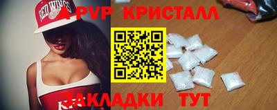 крисы Будённовск